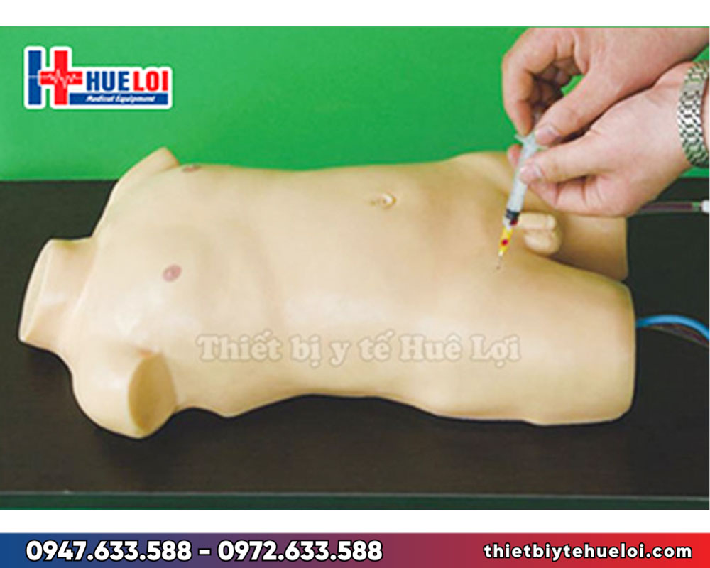 Mô hình thực hành lấy máu động mạch và tĩnh mạch đùi